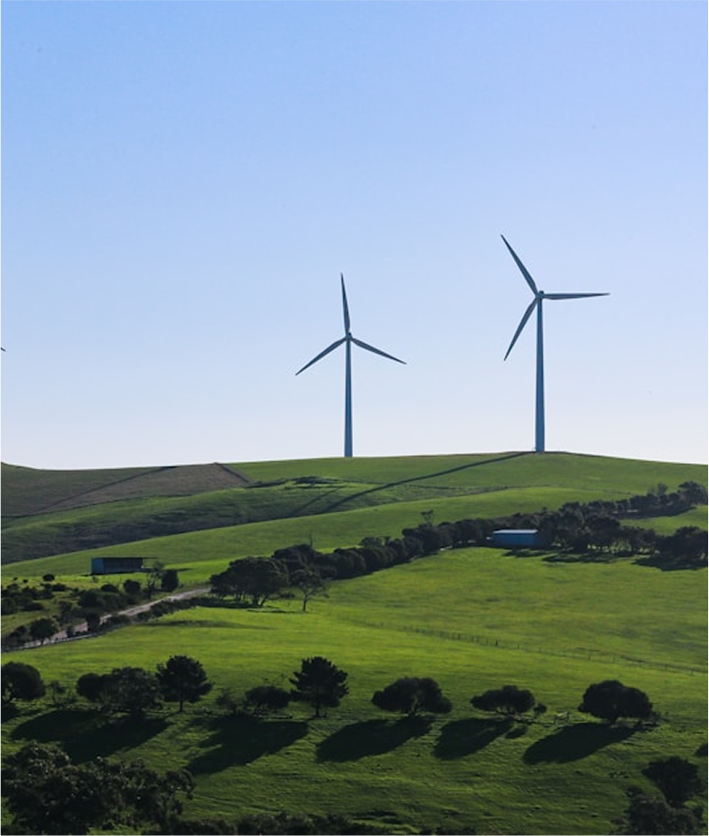 Green Energy & Sustainability